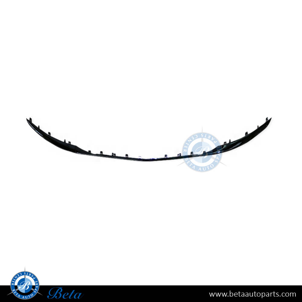 Front Bumper Middle Moulding Maybach for Mercedes S-Class W222 2018-2020 models, Part Number 2228854900 Front Bumper Middle Moulding Maybach for Mercedes S-Class W222 2018-2020 models, Part Number 2228854900
